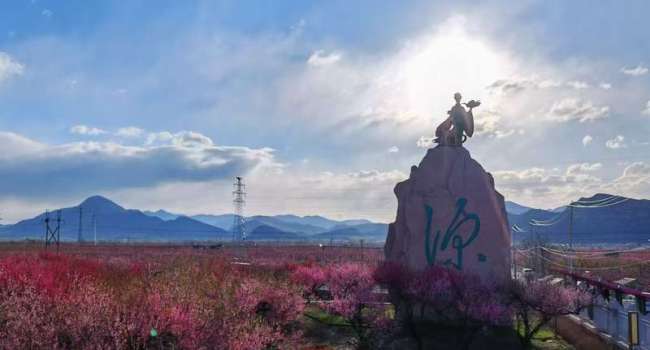 Birds are also "not suitable for travel" on windy days. When farmers in Beijing patrol the fields, they witness magpies being blown off by the strong wind.